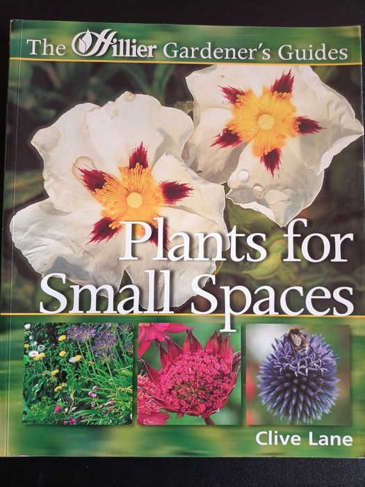Рослини для маленьких місць
