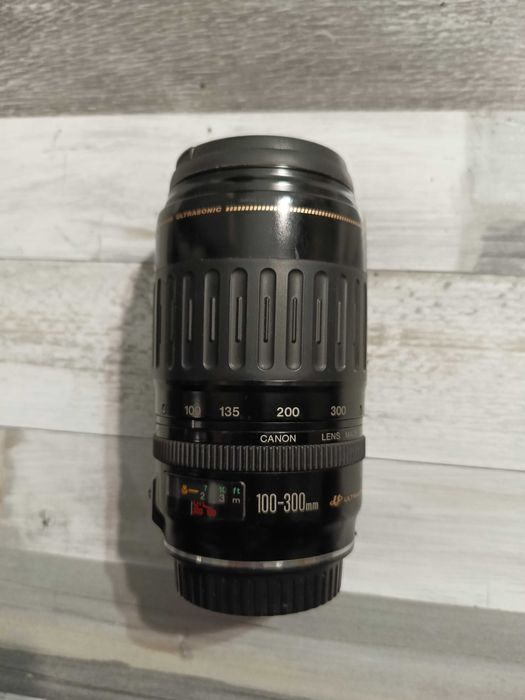 Canon EF 100-300 f/4,5-5,6