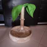 Arranhador de gato