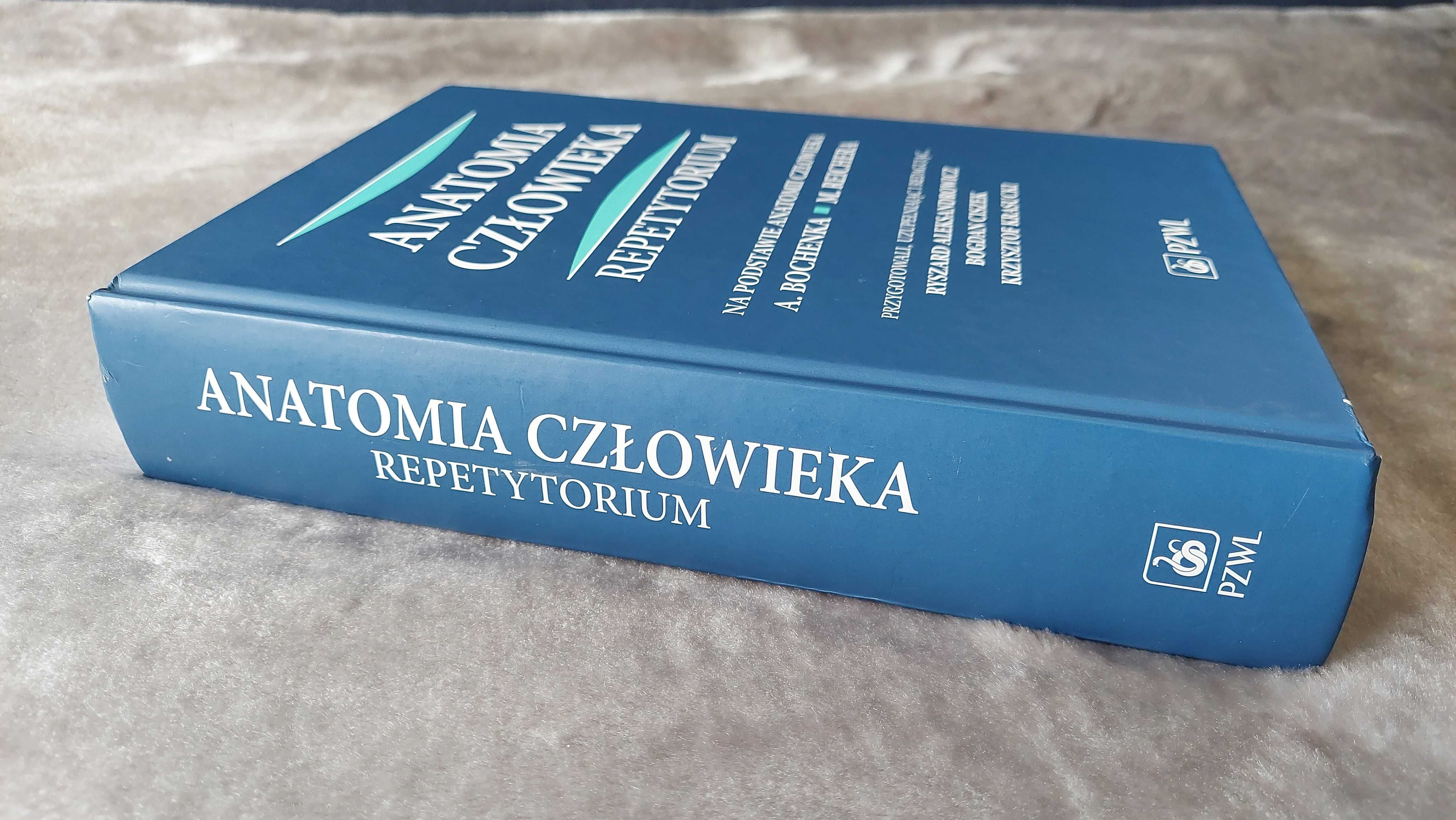Bochenek Anatomia człowieka - Repetytorium