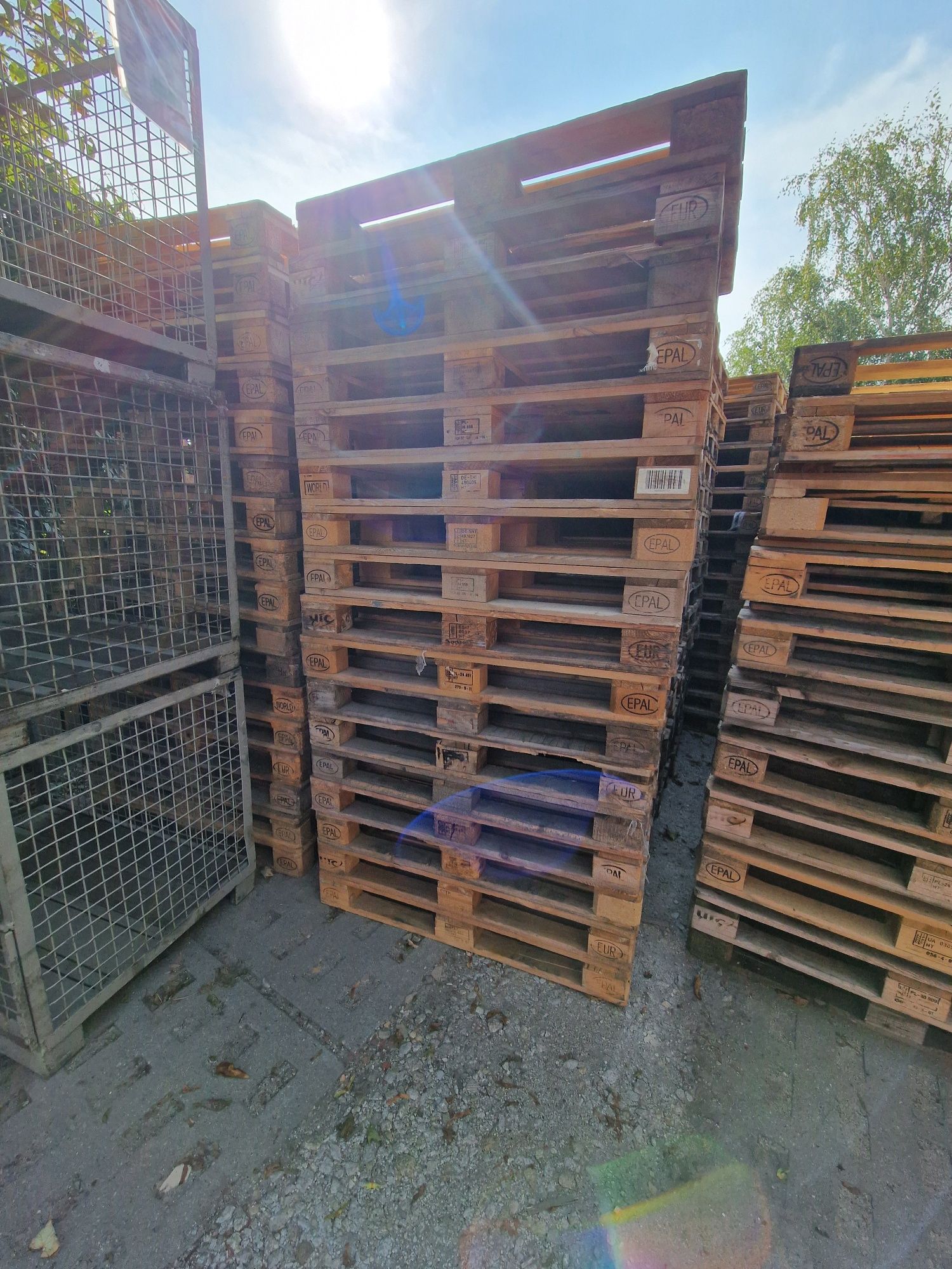 Palety euro, drugi gatunek