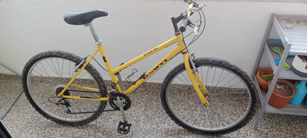Bicicleta de montanha