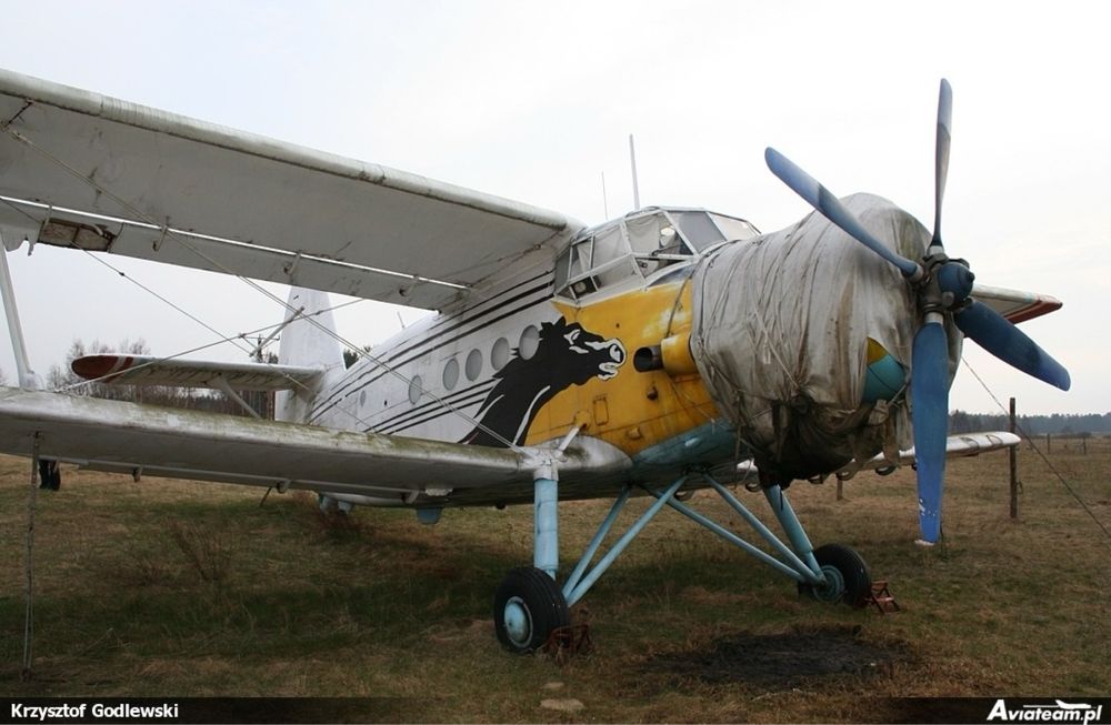 Samolot Antek An-2 An2 silnik