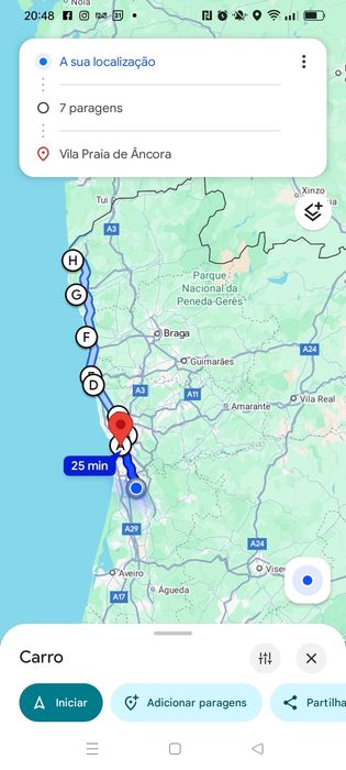 Entrega de coelhos anões Maia