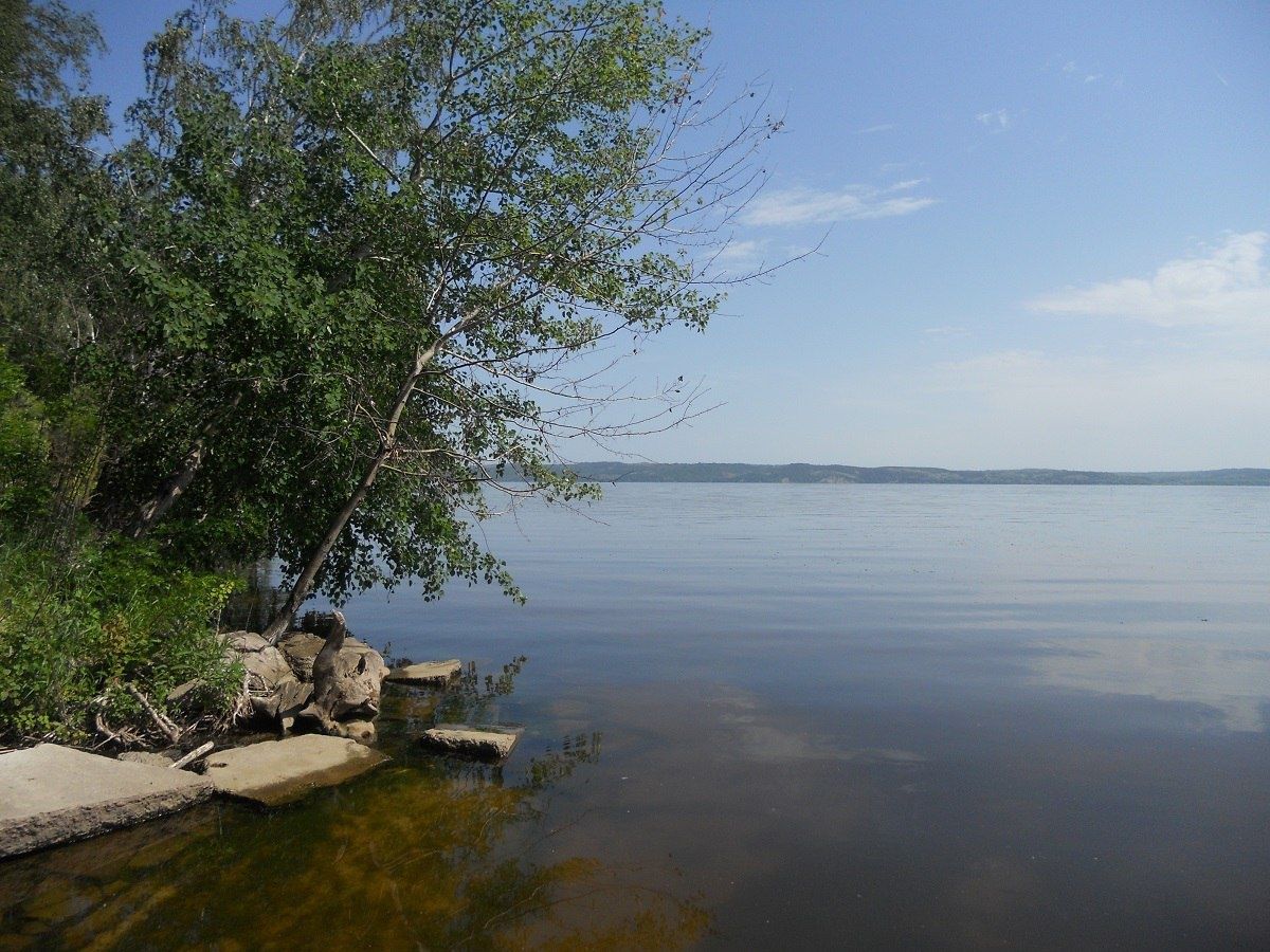 Власний вихід до води, охорона і електрика – ідеальне місце для  дачі