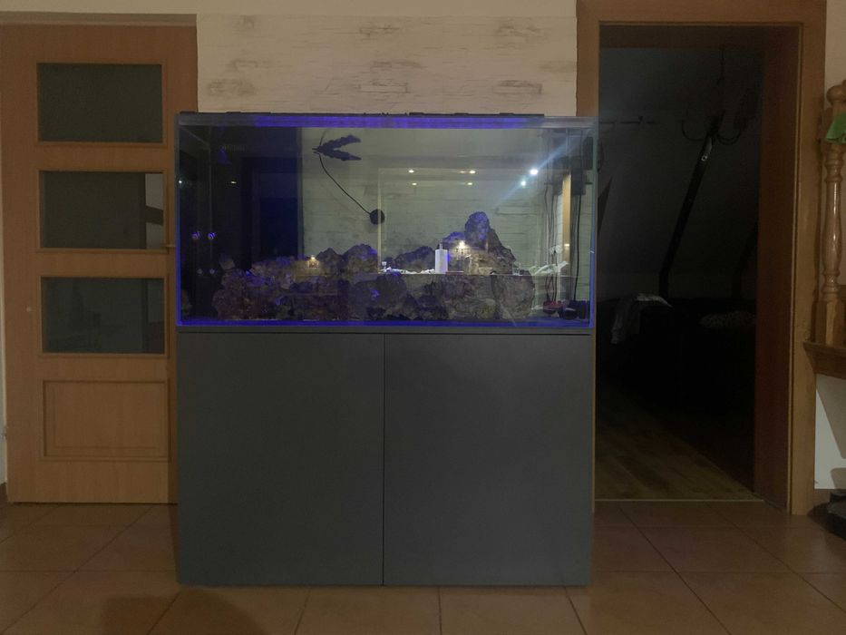 Akwarium morskie 500l optiwhite, szafka, sump, lampy, full osprzęt