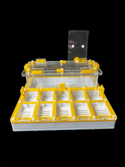 Черная муравьиная ферма для муравьев профессиональный дом для колонии.