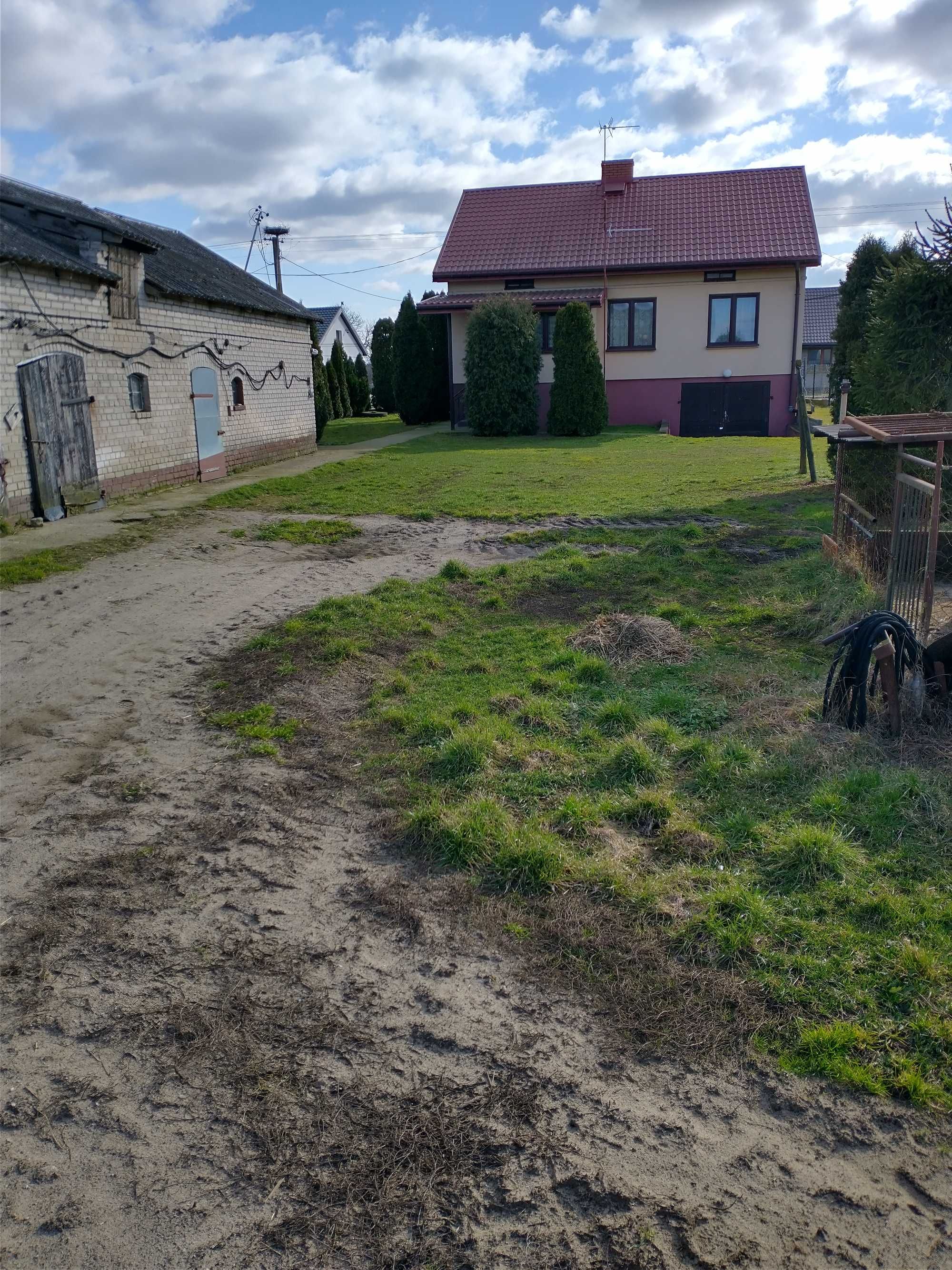 Siedlisko, dom + budynki gospodarcze w Luszewie, blisko Mławy