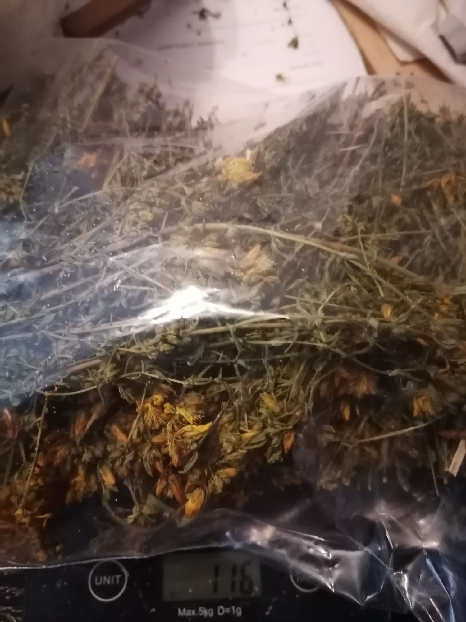 Dziurawiec suszony 100g