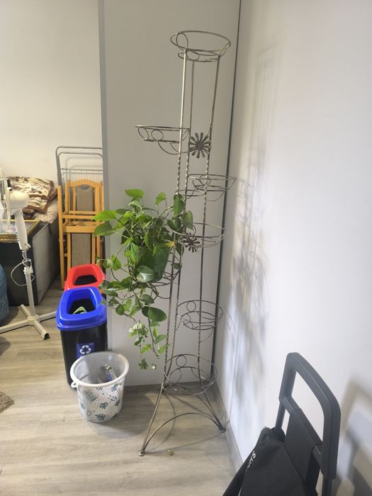 Kwietnik w bardzo dobrym stanie