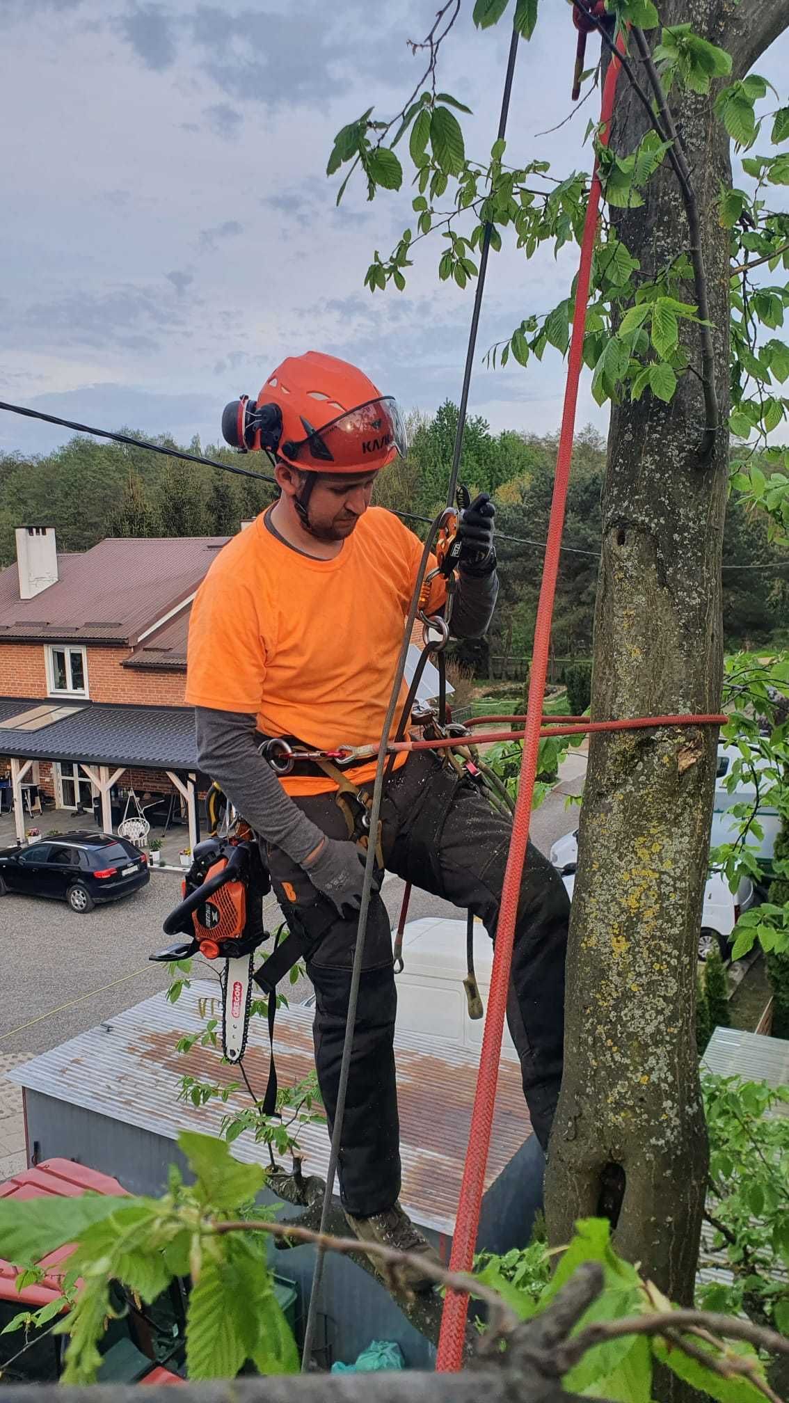 wycinka drzew metodą alpinistyczną prace wysokościowe frezowanie pni