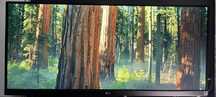 Monitor LG 29” Ultrawide