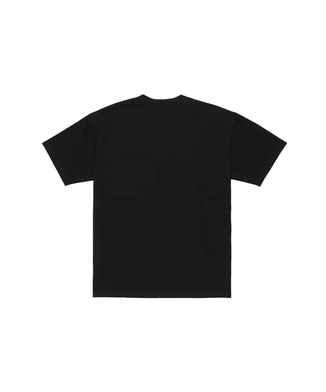 Футболка Nike ACG Front Logo T-Shirt 'Black' DQ1816-011