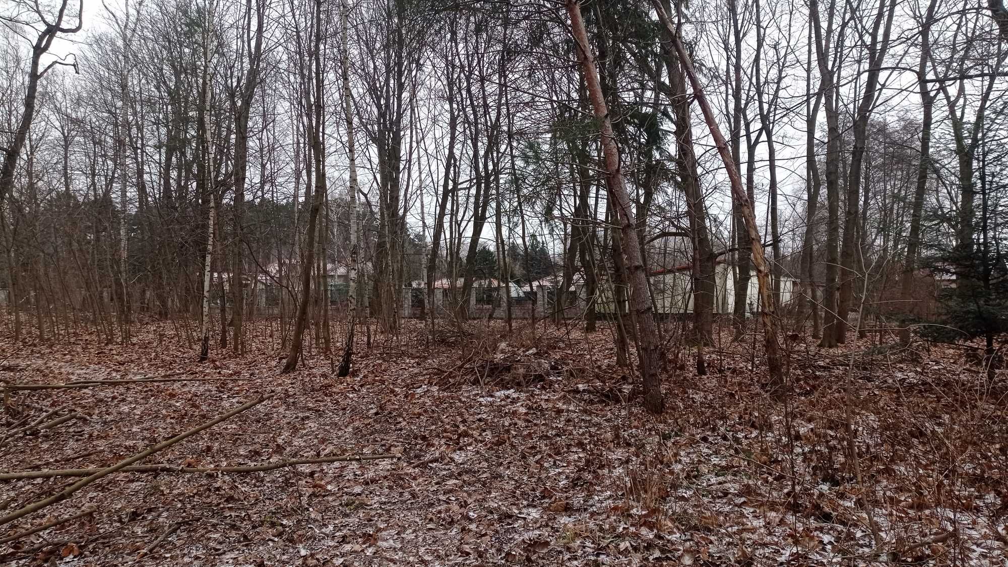 Inspirujący teren w Łodzi ~5Ha, świetnie skomunikowany.