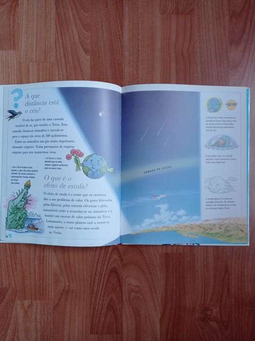 Livro infantil " porque será que?"