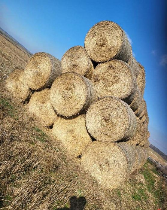 Sprzedam SŁOMĘ, Baloty 120