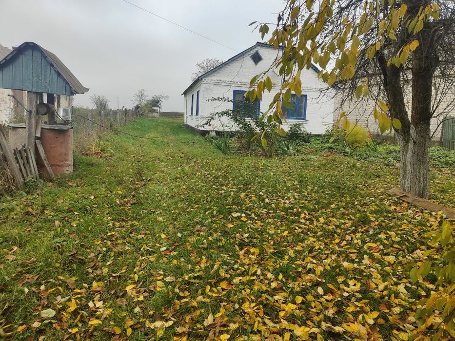 Продається будинок в смт.Ружин