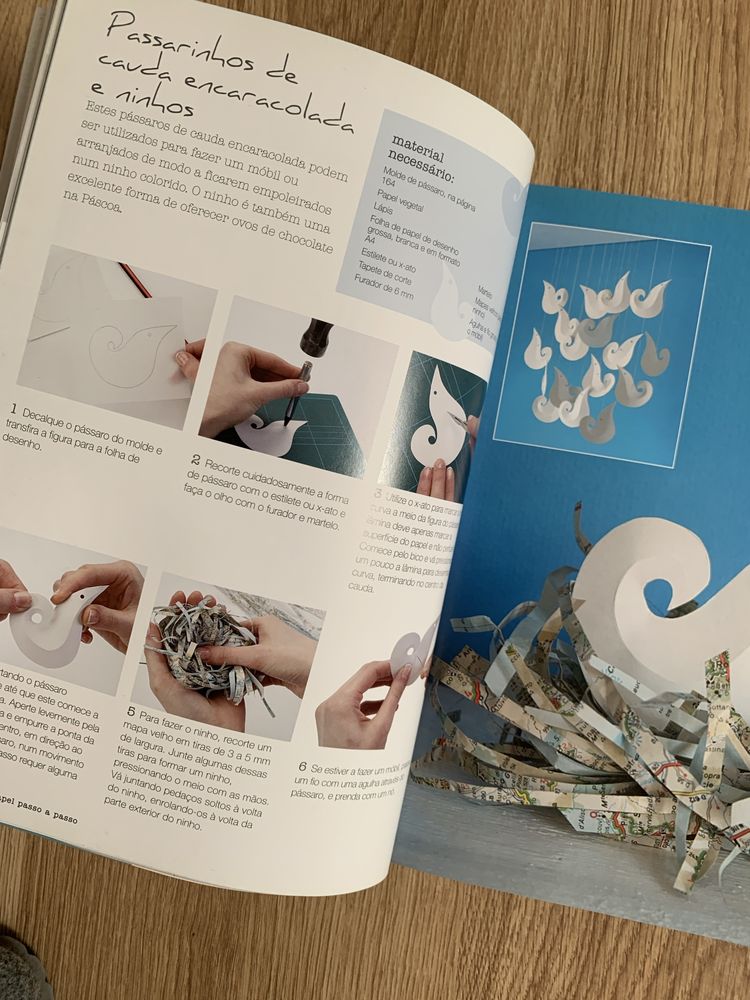 Livro: A arte do papel (passo a passo)