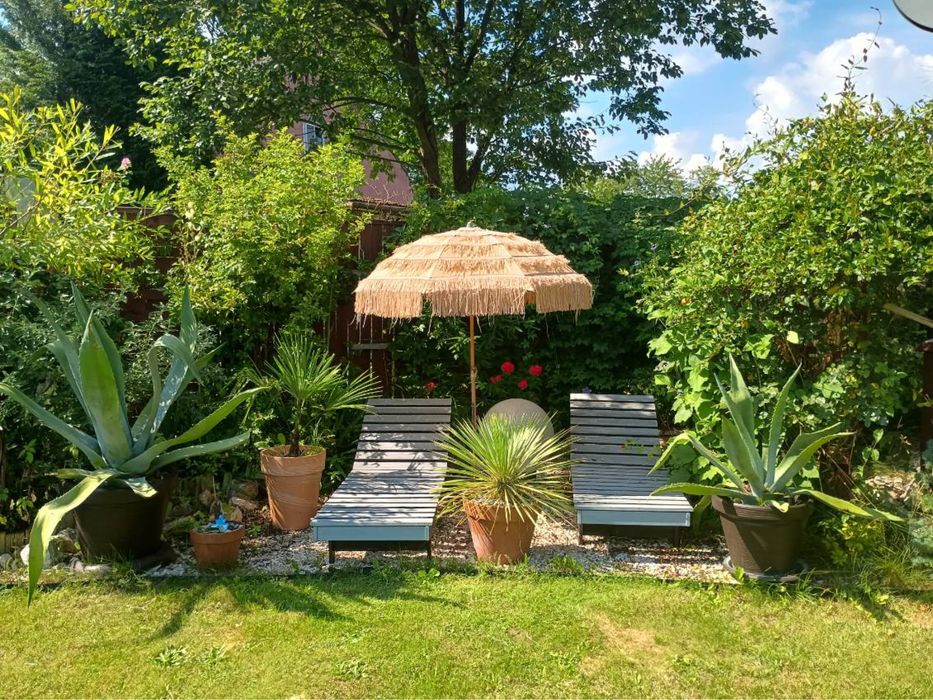 Leżaki ogrodowe drewniane z kółkami do transportu