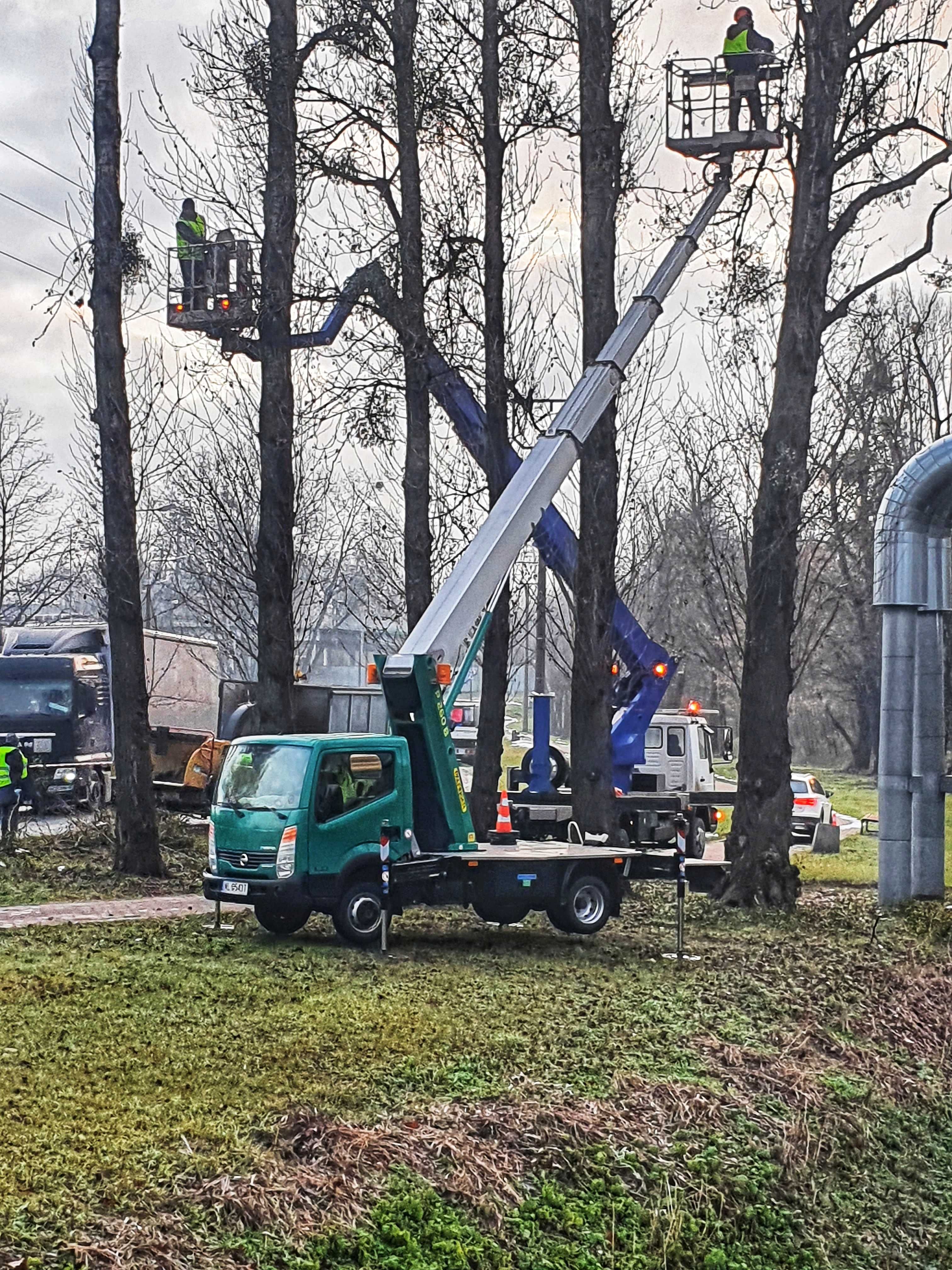 Wycinka drzew, podnośnik koszowy, rozdrabniacz do gałęzi