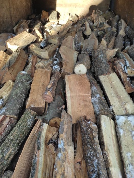 Продам дрова твёрдых пород
