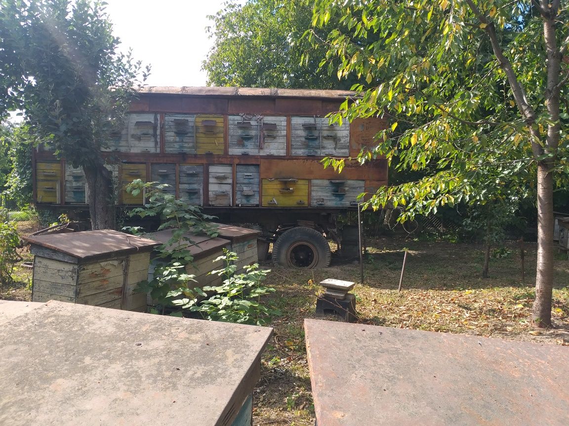 Продам прицеп з бджолами
