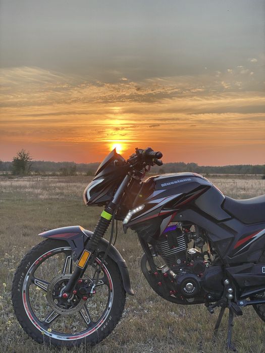 Продаю мустанг 200 фортуна