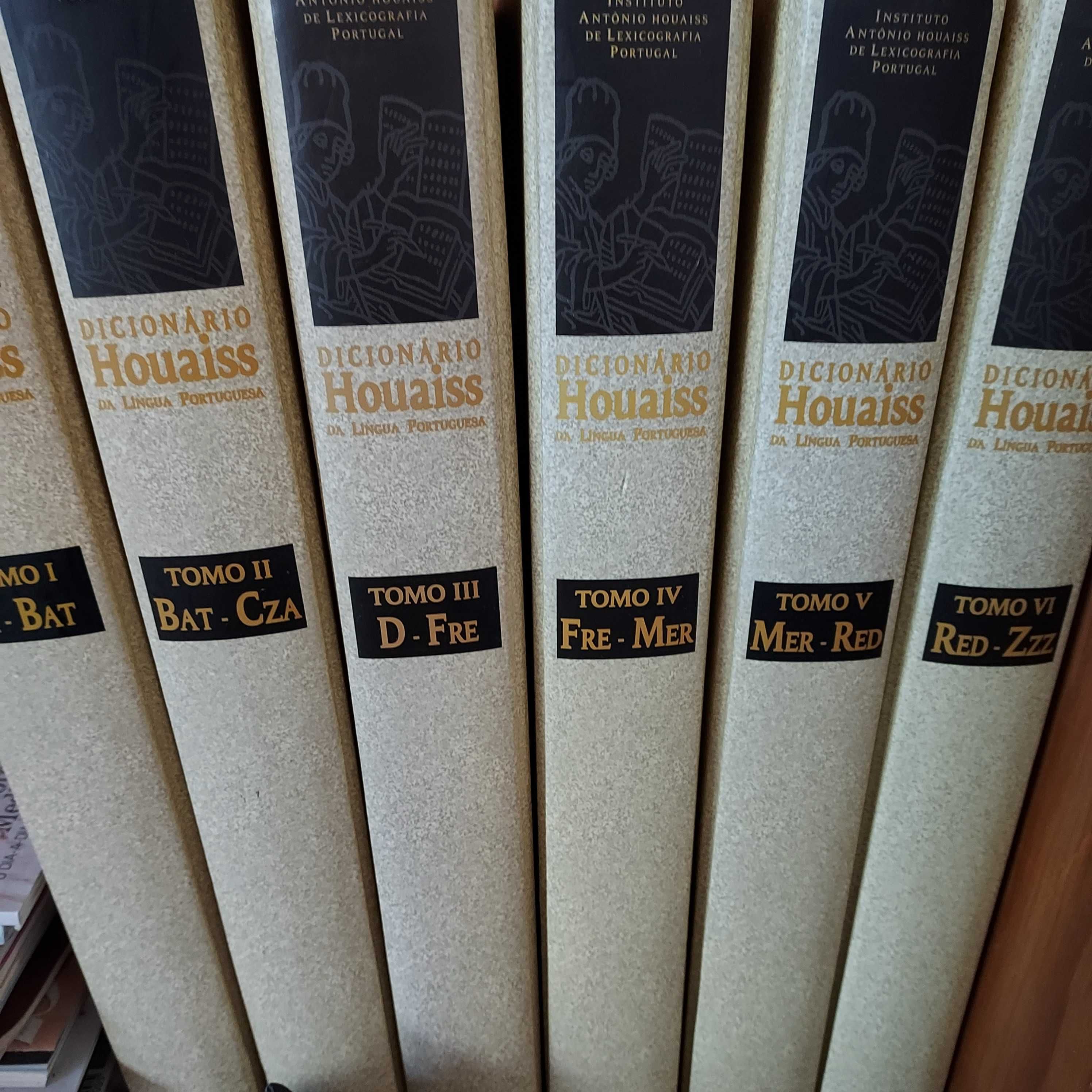 Dicionário Houaiss- 6 volumes