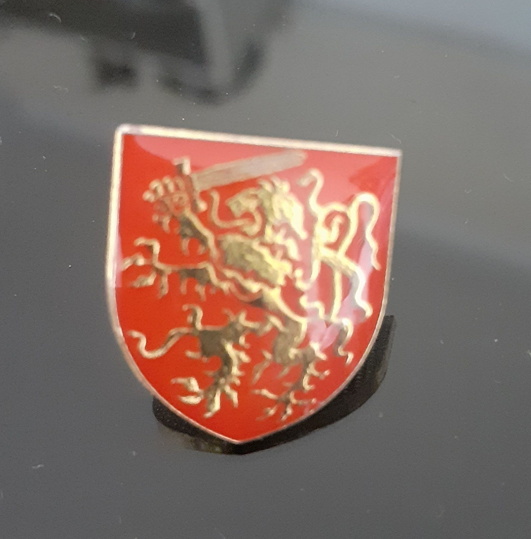 Pin do Exército Português