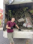 Вывоз мусора. Вивіз будівельного сміття. Услуги грузчиков. Авто Renaul