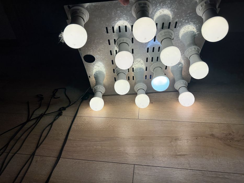 Żyrandoled do growbox, Lampa do uprawy roslin