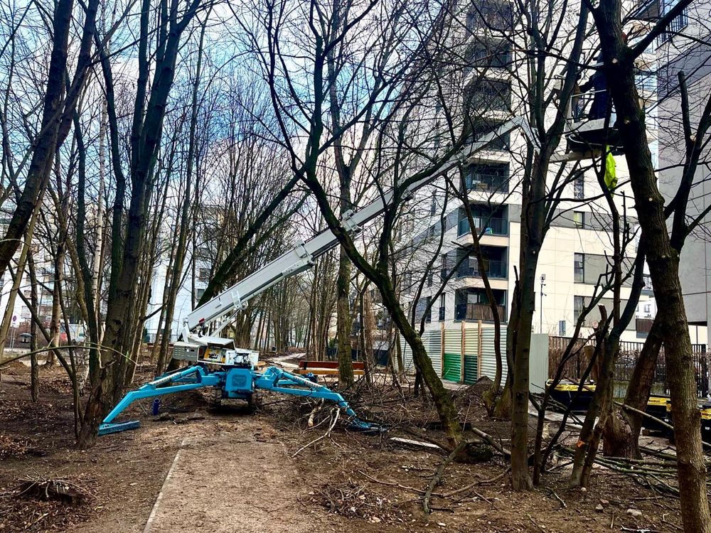 Wycinka drzew, przycinanie żywopłotów, zrębkowanie gałęzi,usuwanie pni