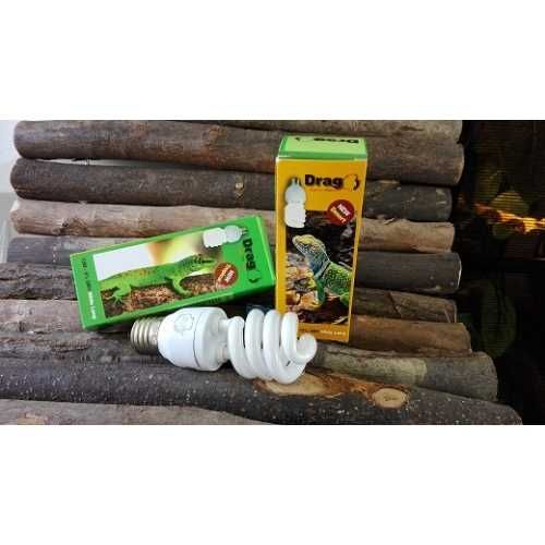 kit camaleao completo