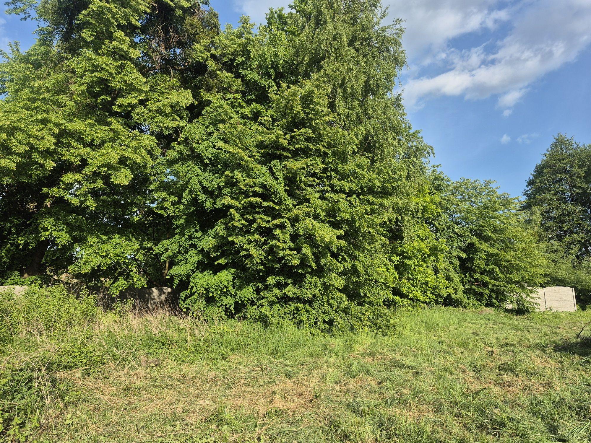 Duża działka uslugowo budowlana 3474m2,  240m2 plyty fun. dla domu Ada