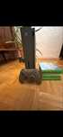 Xbox one S military green komplet z plombami i grami limited edition