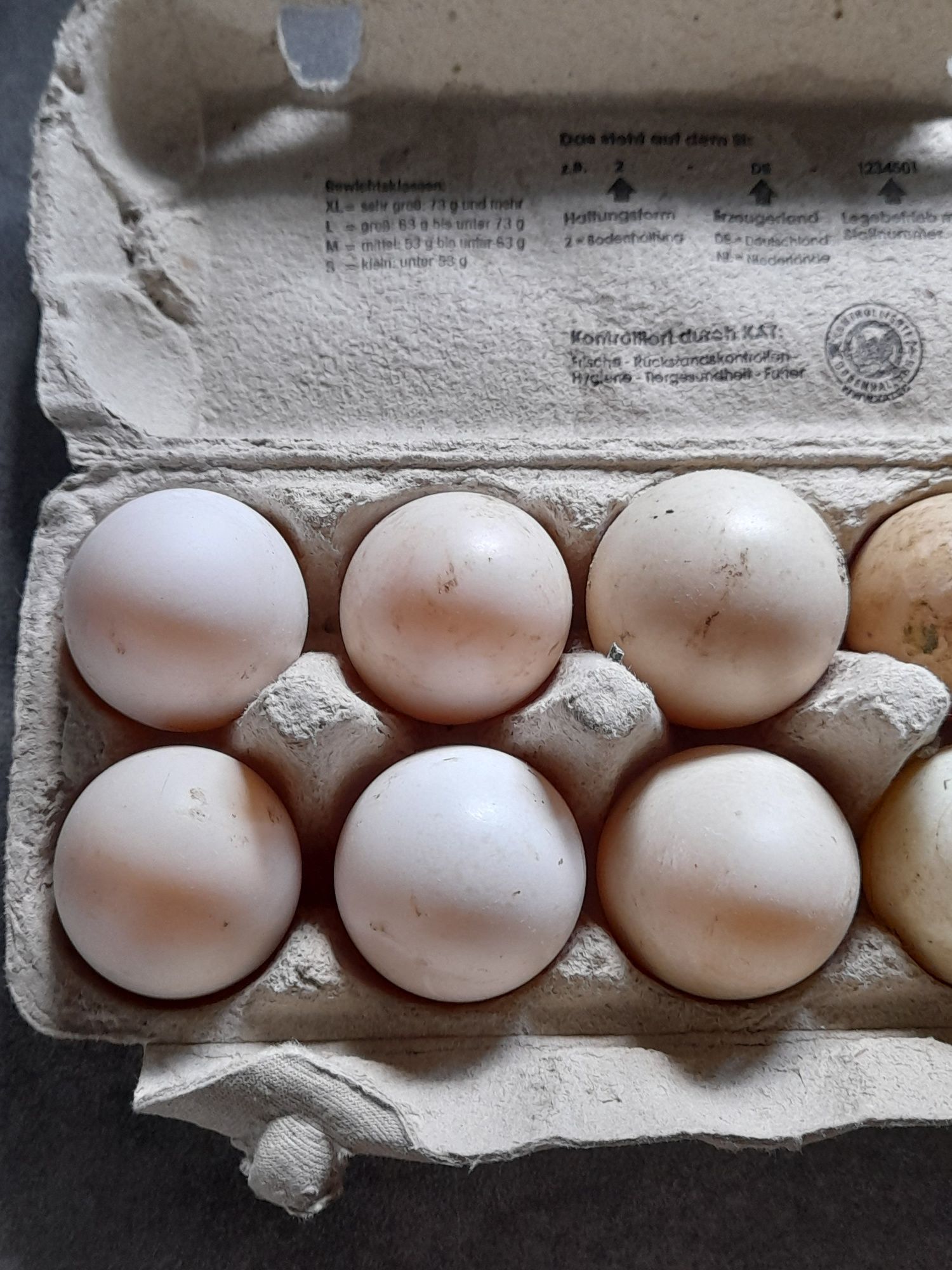 Kaczki Staropolskie Czubate - jajka lęgowe