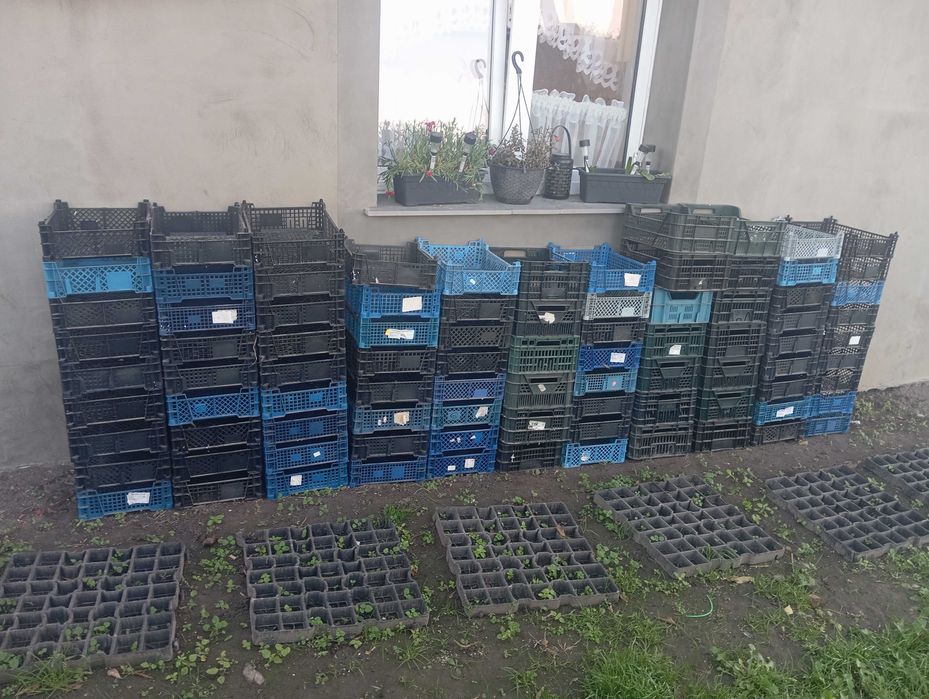 Skrzynki plastikowe na owoce lub warzywa