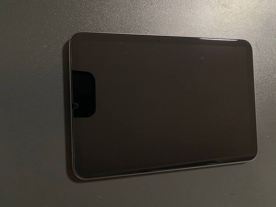 iPad Mini 6 256 ГБ, косметика 4/5, з чохлом