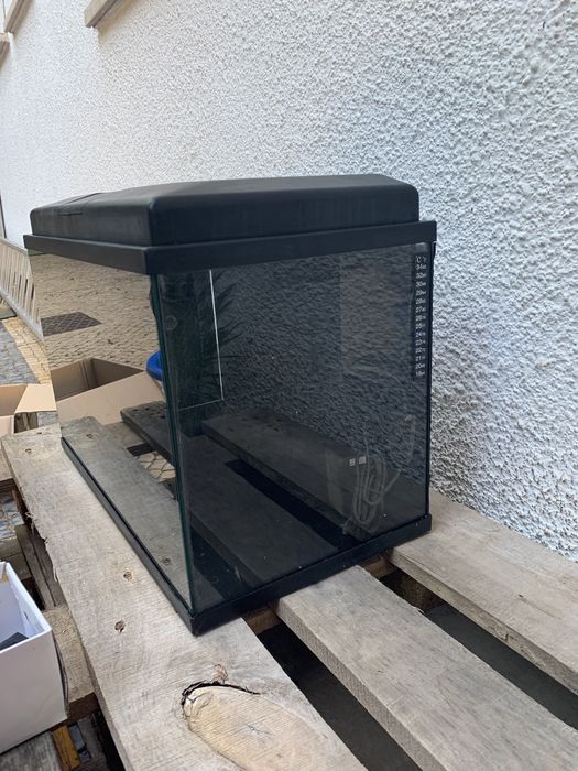Aquario completo 60L