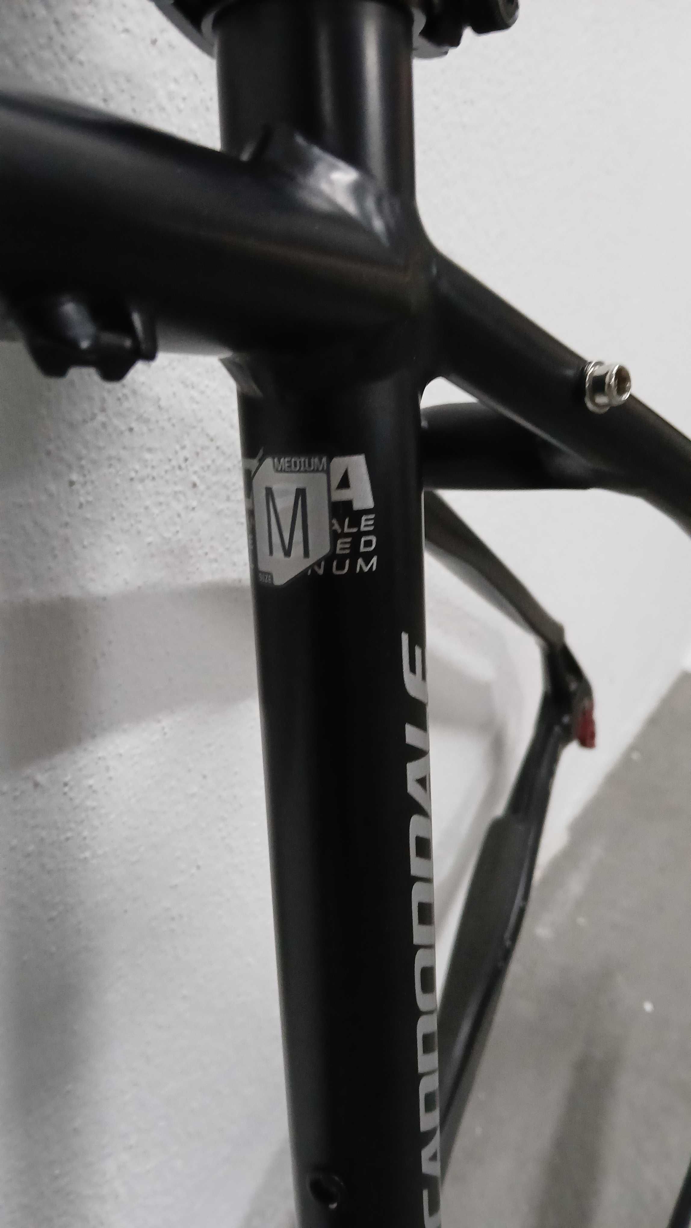Cannondale SL3 Trail