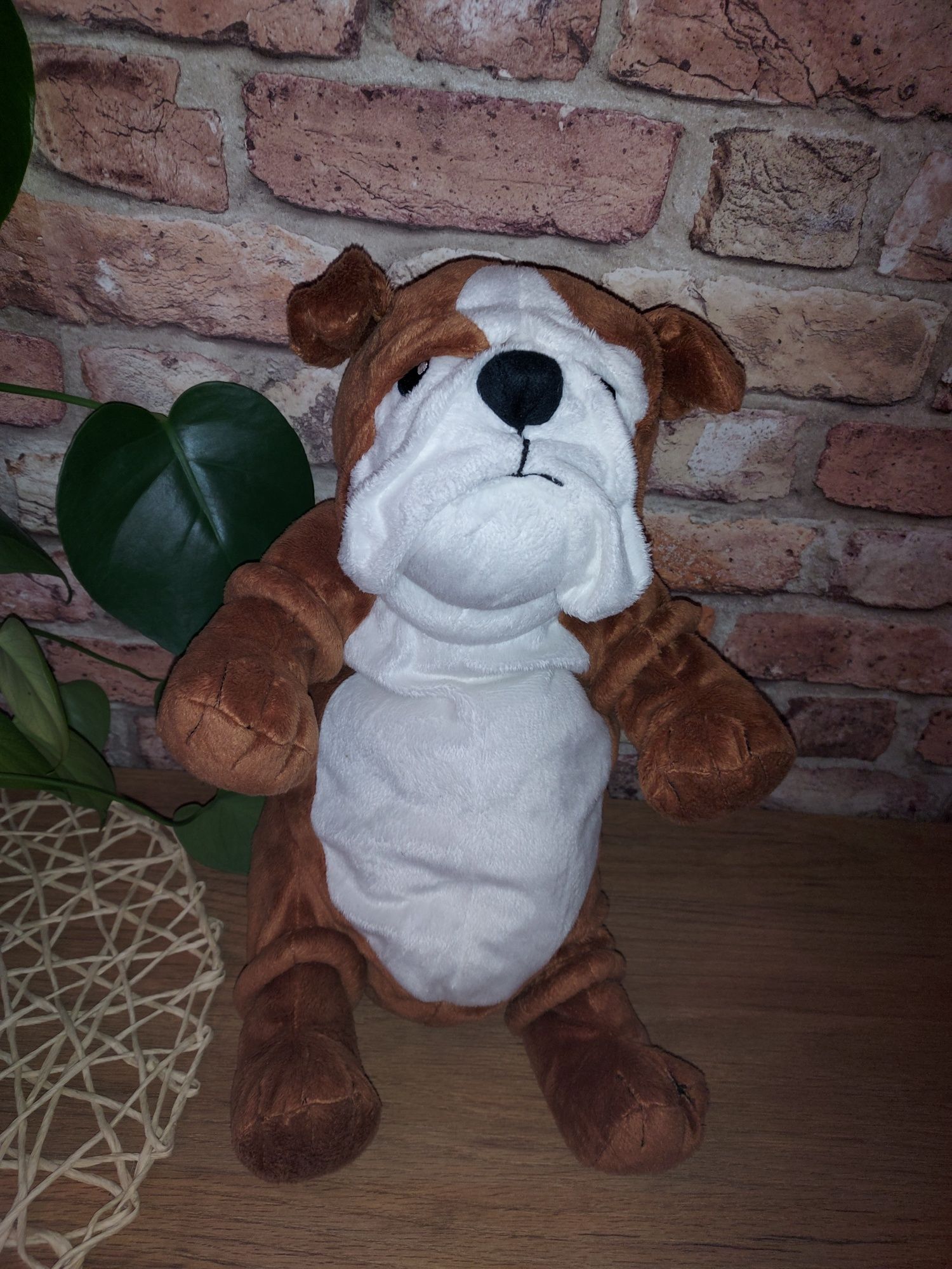 Maskotka duży piesek Bulldog z niedostępnej już kolekcji Ikea Klappa