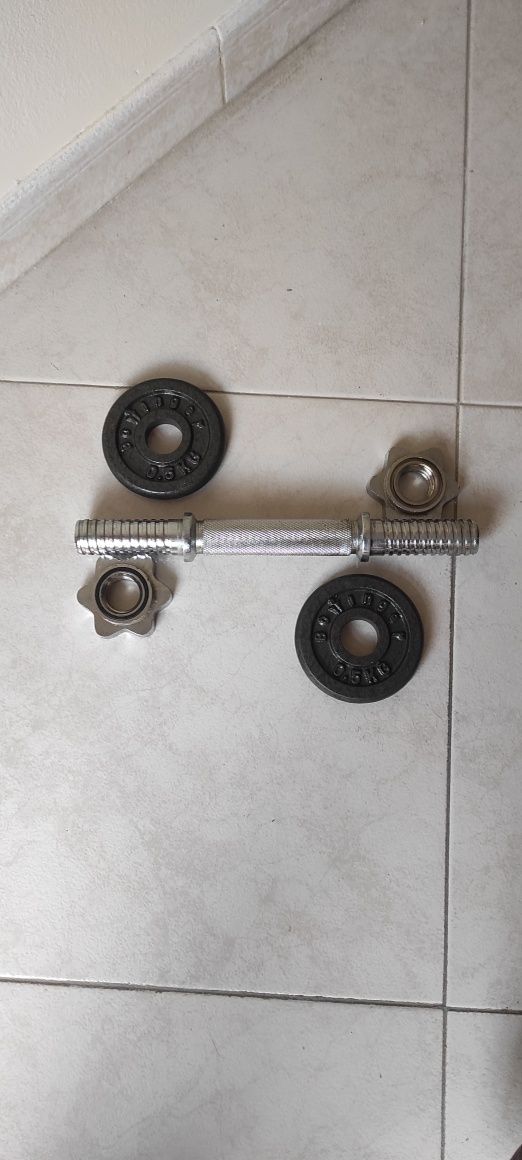 Halter Bohinger com discos