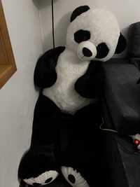 Panda gigante novo . Figura panda .