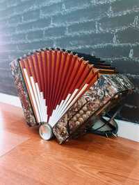 Concertina Hercule