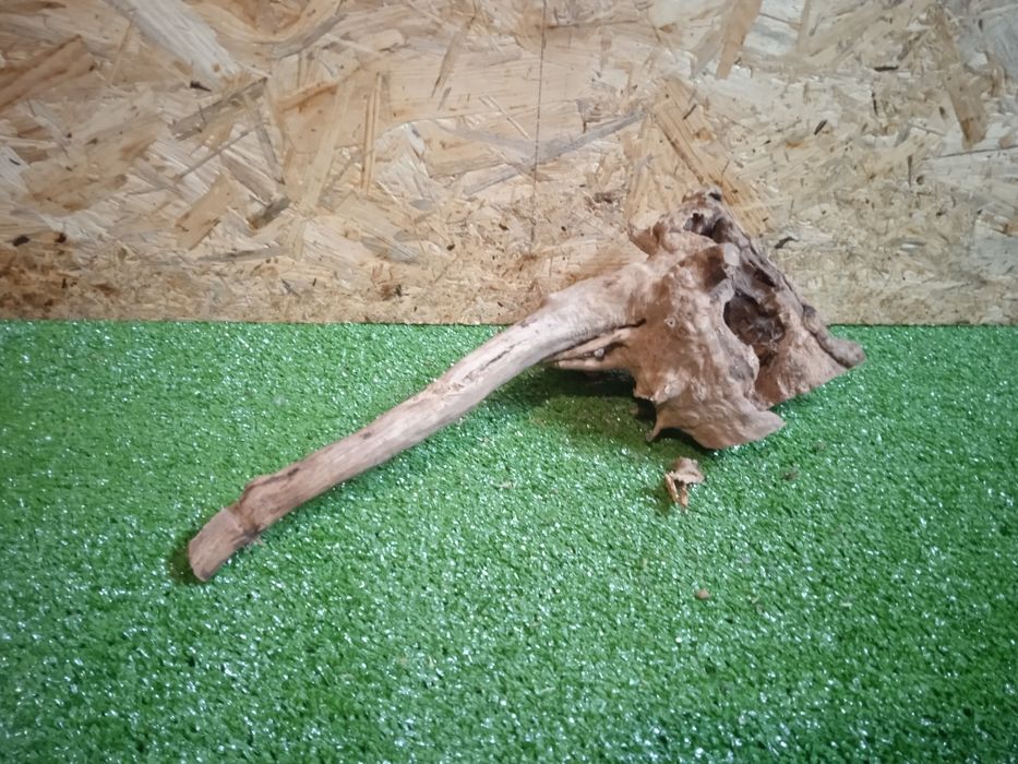 Korzeń do akwarium Red Moore Wood nr 209 o wymiarach 37/17/17