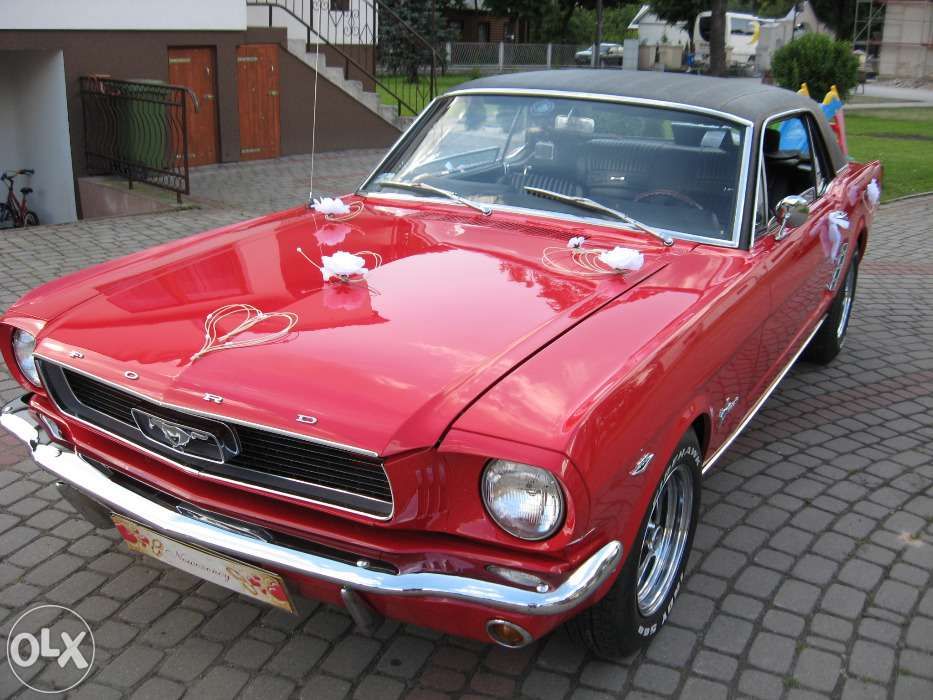 Auta do slubu.Ford Mustang 1966.woj.Podlaskie.-auto do slubu
