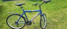Rower GTS Sprint