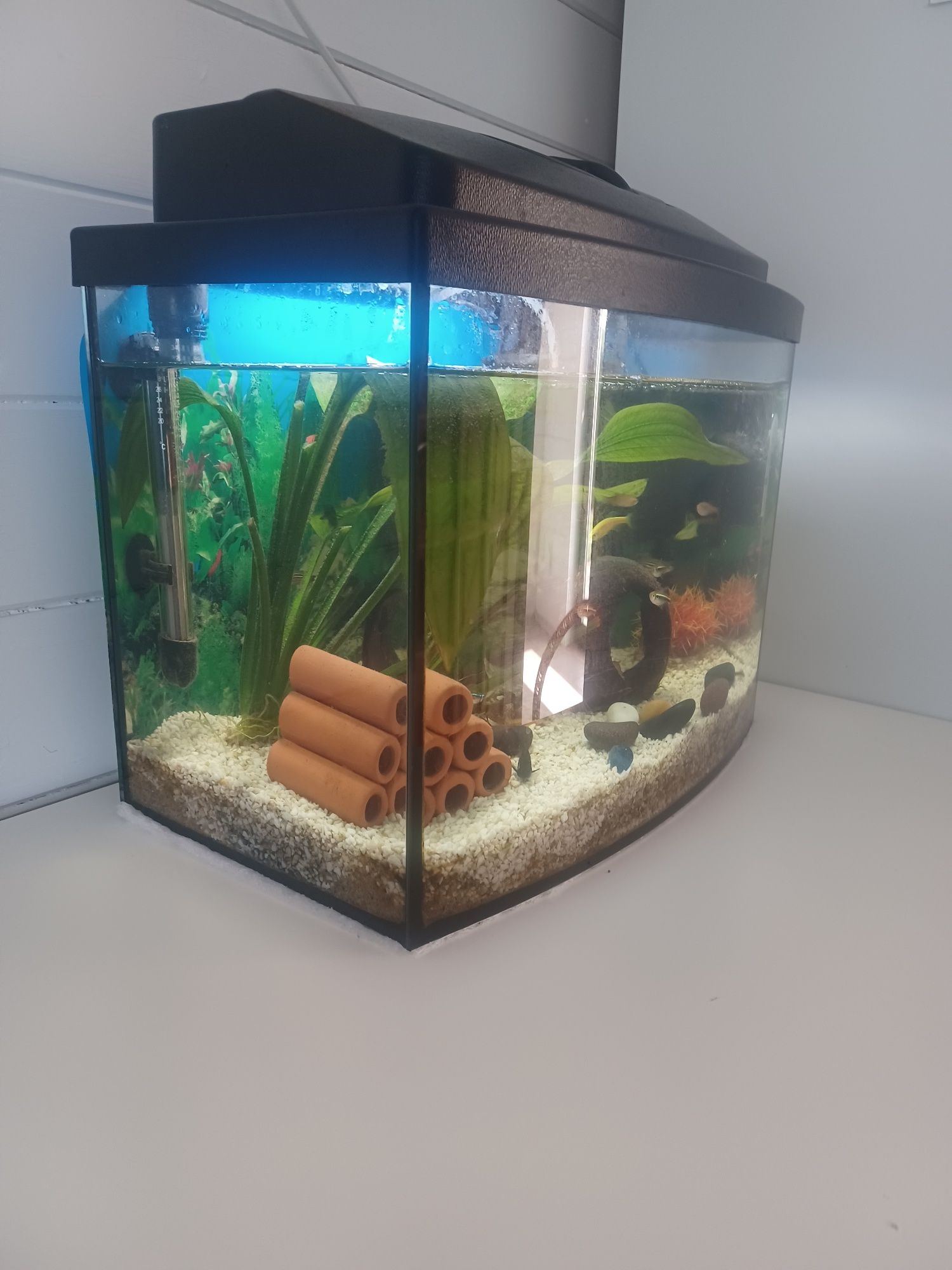 Akwarium 30 l kupione 3mce temu