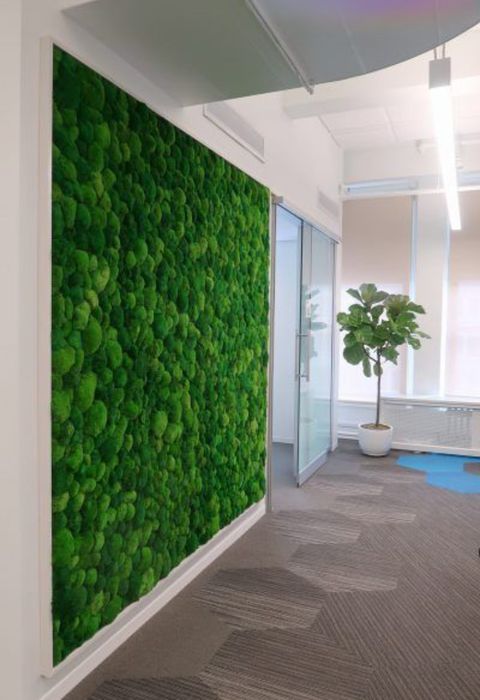 Обшиваєм стіни в кафе ресторани салони , стабілізованим мохом еко стил