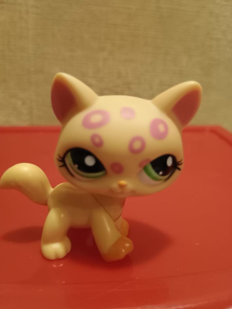 Littlest pet shop kot shorthair kociak kitten cat LPS kolekcjonerska